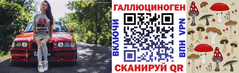 Купить где  Боровск  Псилоцибиновые грибы мицелий 